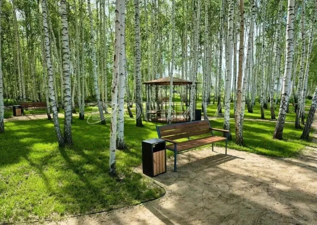 Участок в Тюменская область, Тюменский муниципальный округ Салаирский ... - Фото 2