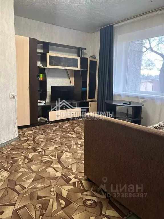 1-к кв. Хакасия, Абакан ул. Пушкина, 199 (30.0 м) - Фото 2