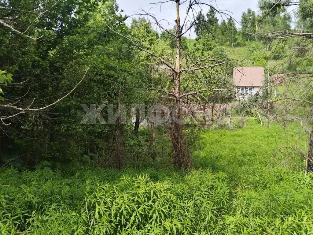 Участок в Брянская область, Брянск  (8.0 сот.) - Фото 0
