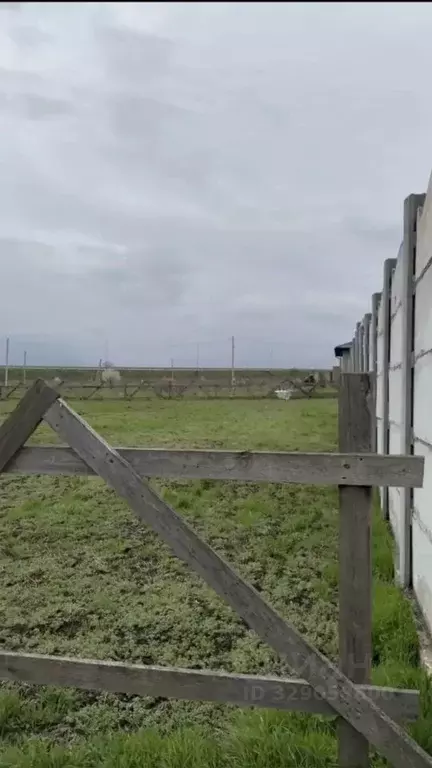 Участок в Ленинградская область, Ломоносовский район, Пениковское ... - Фото 2