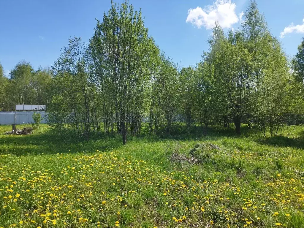Участок в Московская область, Сергиево-Посадский городской округ, ... - Фото 1