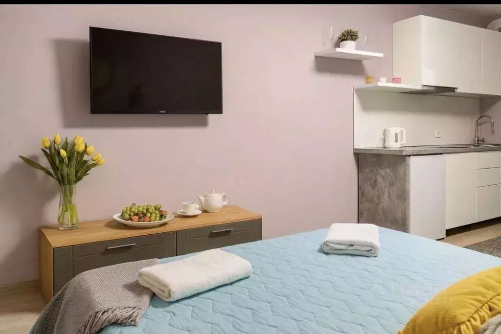 Студия Санкт-Петербург Детский пер., 2 (30.0 м) - Фото 2