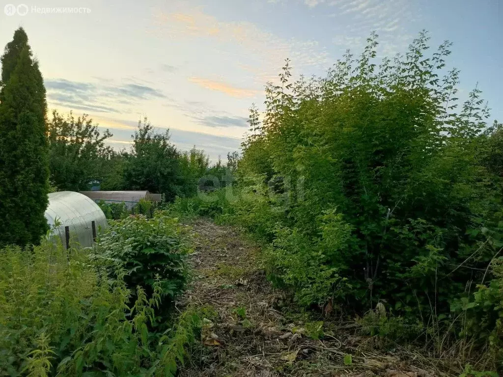 Участок в Новомосковск, улица Вильямса (6.45 м) - Фото 0