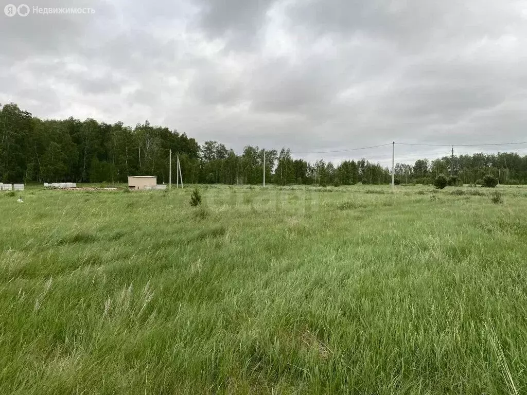 Участок в Курган, улица Надежды Румянцевой (9 м) - Фото 1