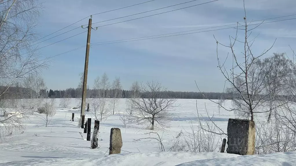 Участок в Московская область, Домодедово городской округ, д. Михеево  ... - Фото 2