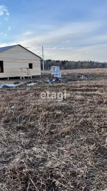 Участок в Ленинградская область, Ломоносовский район, Русско-Высоцкое ... - Фото 0