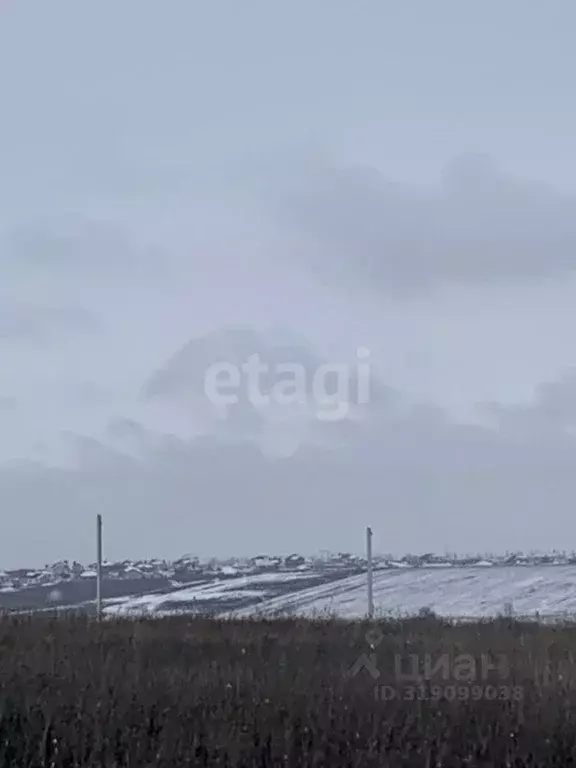 Участок в Белгородская область, Белгородский район, Головинское с/пос, ... - Фото 1