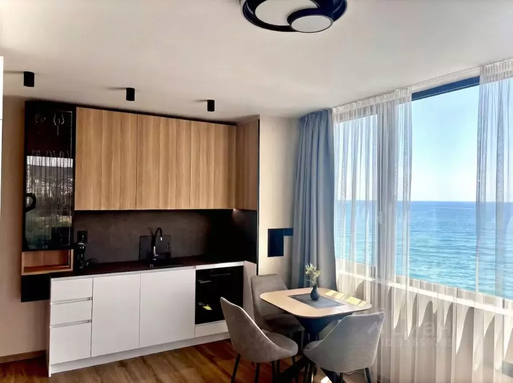 1-к кв. Краснодарский край, Сочи ул. Демократическая, 43 (45.0 м) - Фото 1