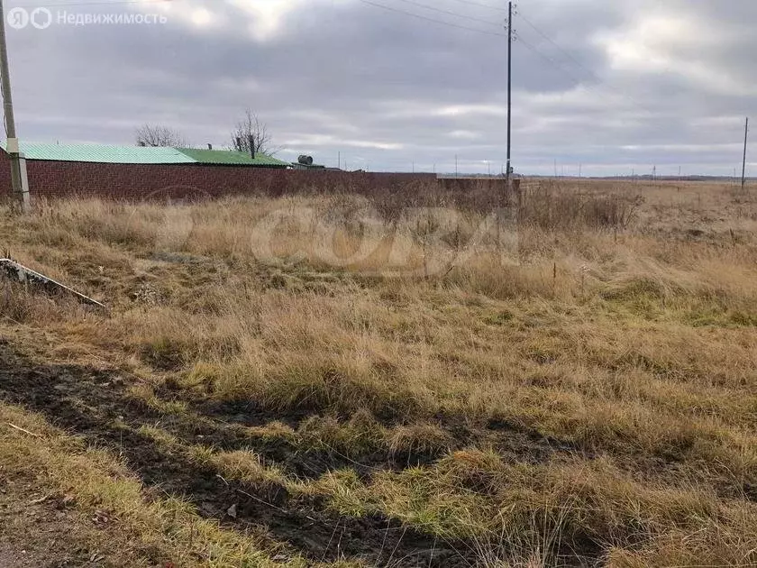 Участок в Исетский район, село Шорохово (15.3 м) - Фото 0