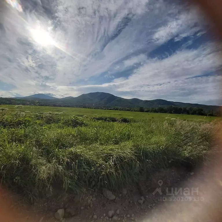 Участок в Камчатский край, Елизовский муниципальный округ, Янтарь СНТ  ... - Фото 2