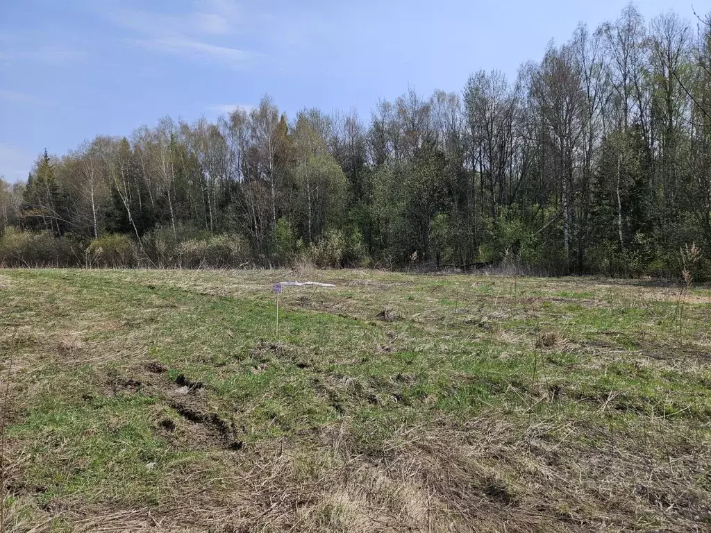 Участок в Московская область, Мытищи городской округ, с. Марфино  (8.2 ... - Фото 2