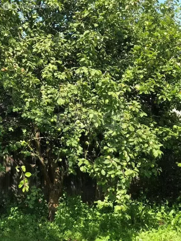 Дом в Рамешки, Комсомольская улица (145 м) - Фото 2