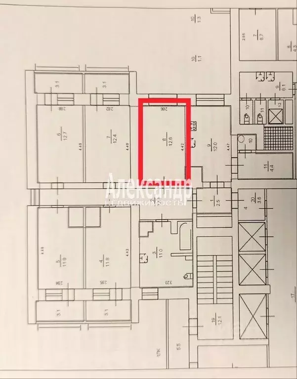 Комната Санкт-Петербург аллея Поликарпова, 1 (12.6 м) - Фото 2