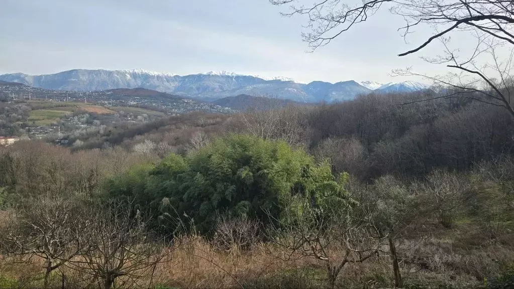 Участок в Краснодарский край, Сочи городской округ, с. Верхневеселое ... - Фото 1
