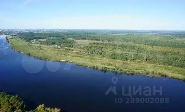 Участок в Тверская область, Калининский муниципальный округ, д. Иенево ... - Фото 2