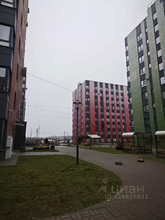 1-к кв. Псковская область, Псковский район, Писковичская волость, д. ... - Фото 2