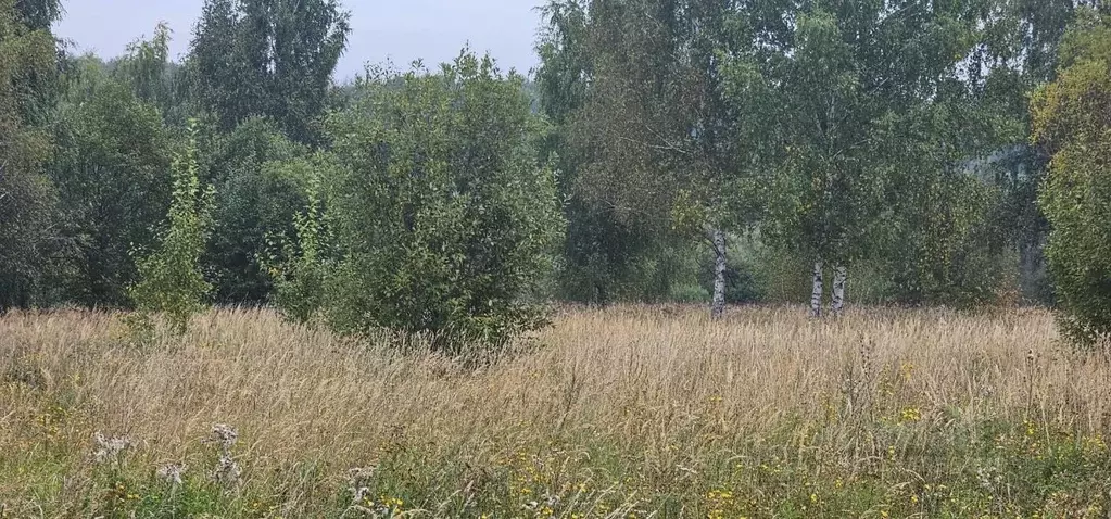 Участок в Московская область, Луховицы Луговая ул., 143 (12.26 сот.) - Фото 1