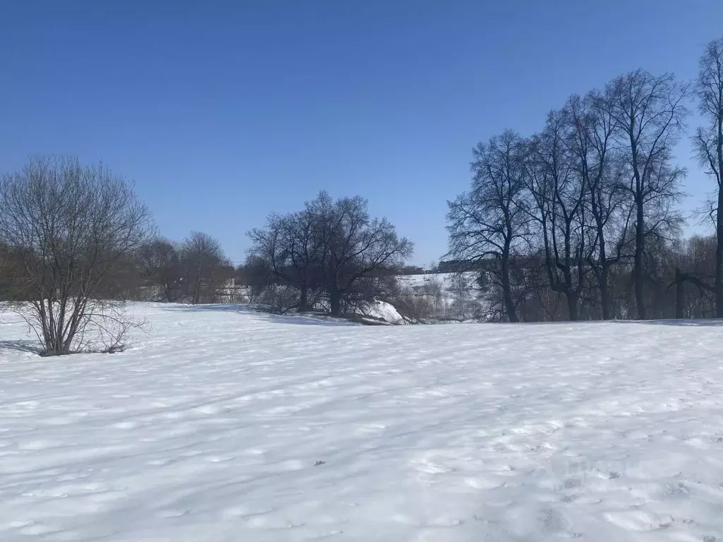 Участок в Московская область, Луховицы муниципальный округ, с. Городна ... - Фото 2