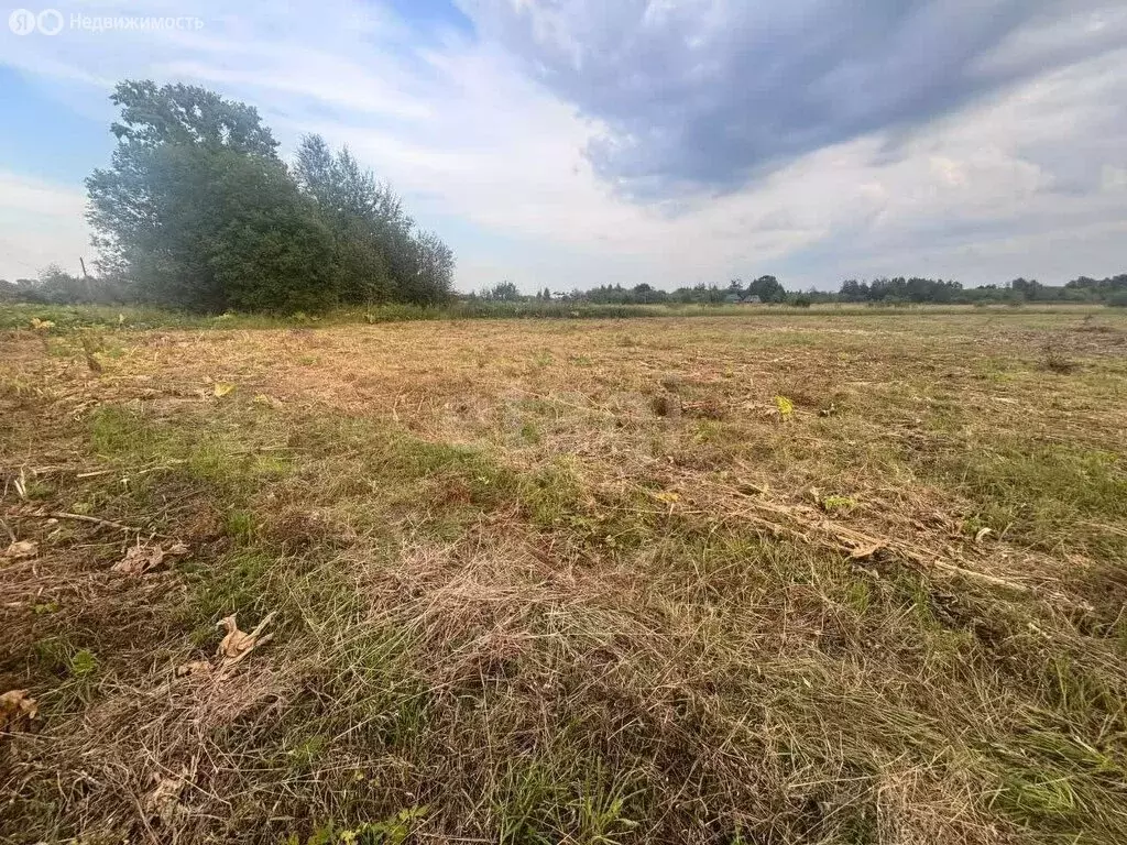 Участок в Пермский край, Чернушинский муниципальный округ, деревня ... - Фото 2