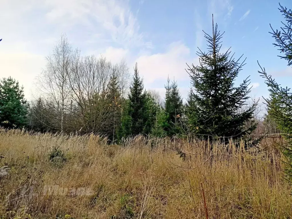 Участок в Московская область, Одинцовский городской округ, д. ... - Фото 1