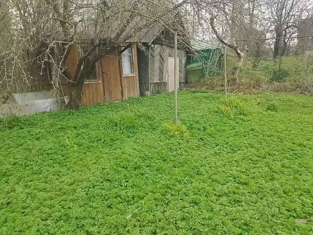 Участок в Санкт-Петербург, Санкт-Петербург, Колпино СДТ Ижорский ... - Фото 1