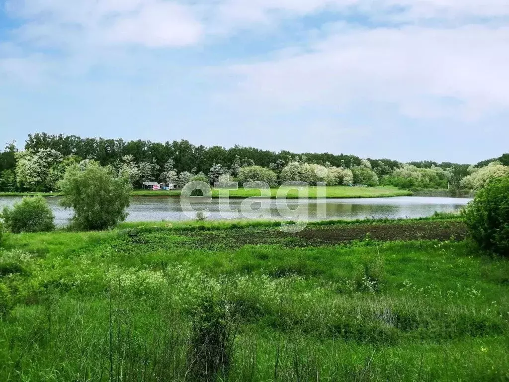 Участок в Белгородская область, Новооскольский городской округ, с. ... - Фото 1