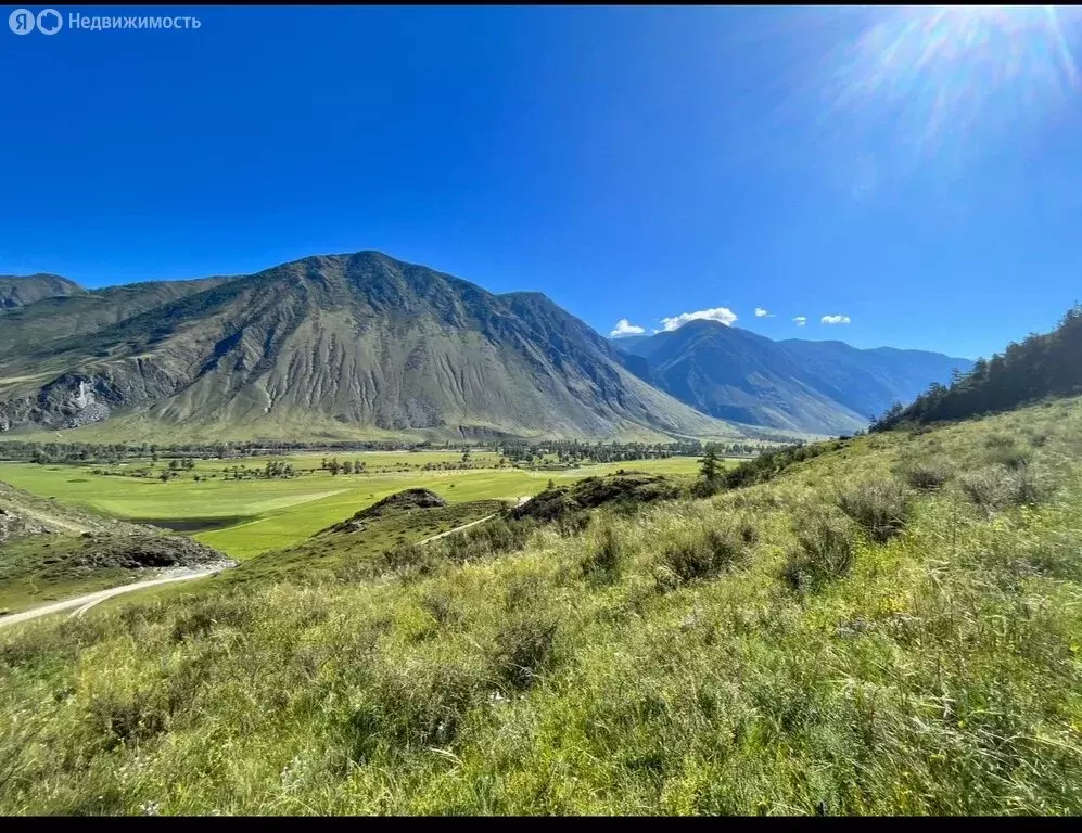 Участок в Улаганский район, село Кок-Паш (37 м) - Фото 1