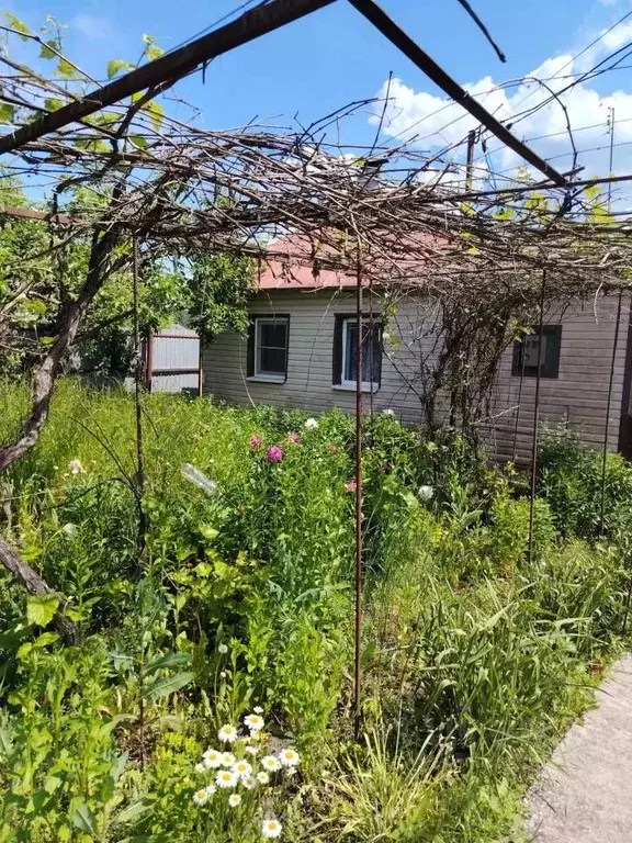 Дом в Курская область, Курчатовский район, Имени Карла Либкнехта рп  ... - Фото 1