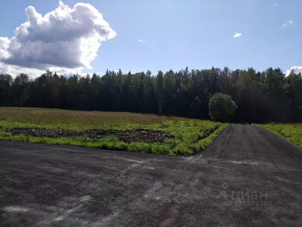 Участок в Московская область, Дмитровский муниципальный округ, д. ... - Фото 1
