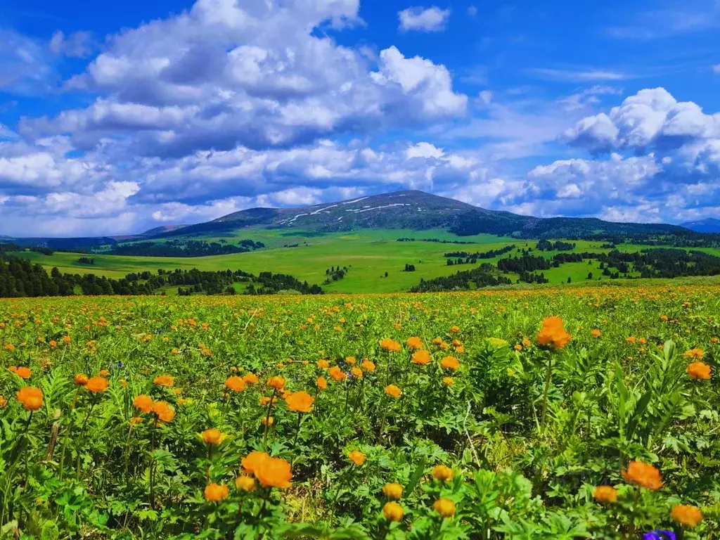 Участок в Алтай, Чемальский район, Седьмое небо кп  (28.4 сот.) - Фото 0