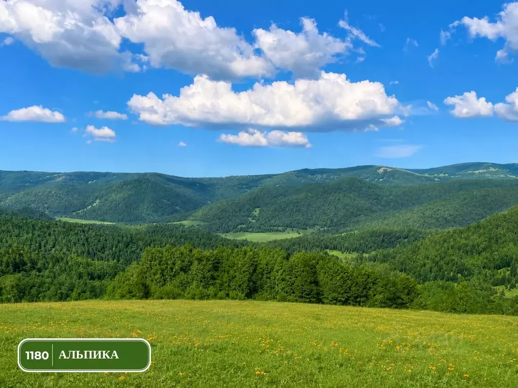 Участок в Алтай, Чемальский район, Элекмонарское с/пос, Седьмое Небо ... - Фото 2