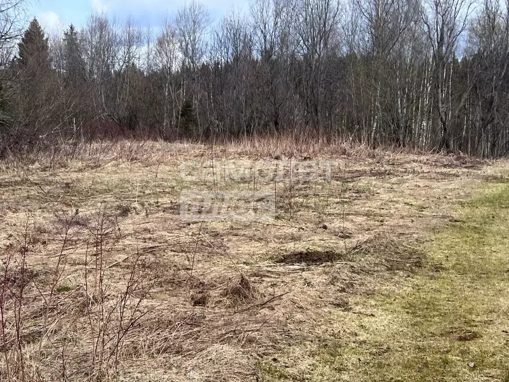 Участок в Вологодская область, Харовский муниципальный округ, д. ... - Фото 2