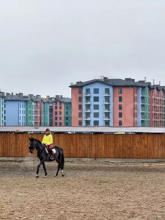 2-к. квартира, 56,3 м, 6/8 эт. - Фото 0