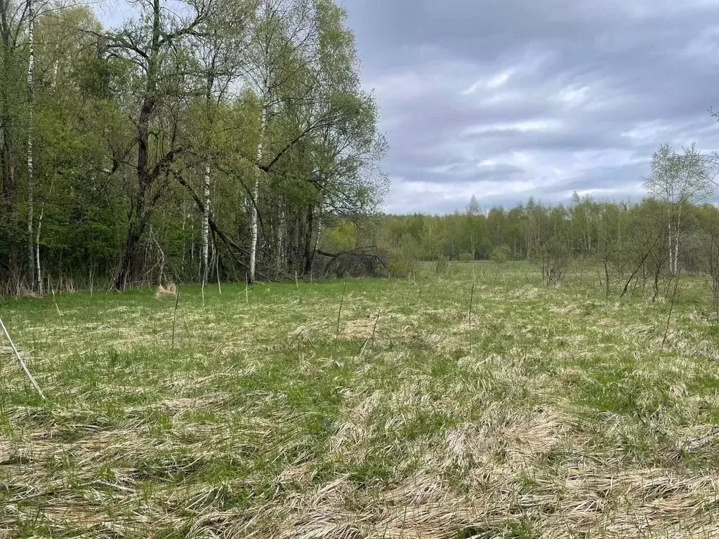 Участок в Московская область, Можайский муниципальный округ, д. ... - Фото 1