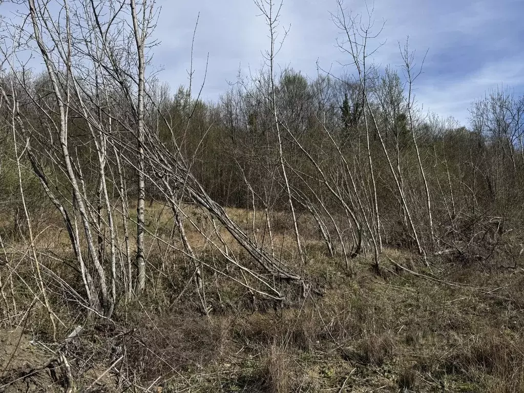 Участок в Краснодарский край, Геленджик ул. Ленина (12.0 сот.) - Фото 1