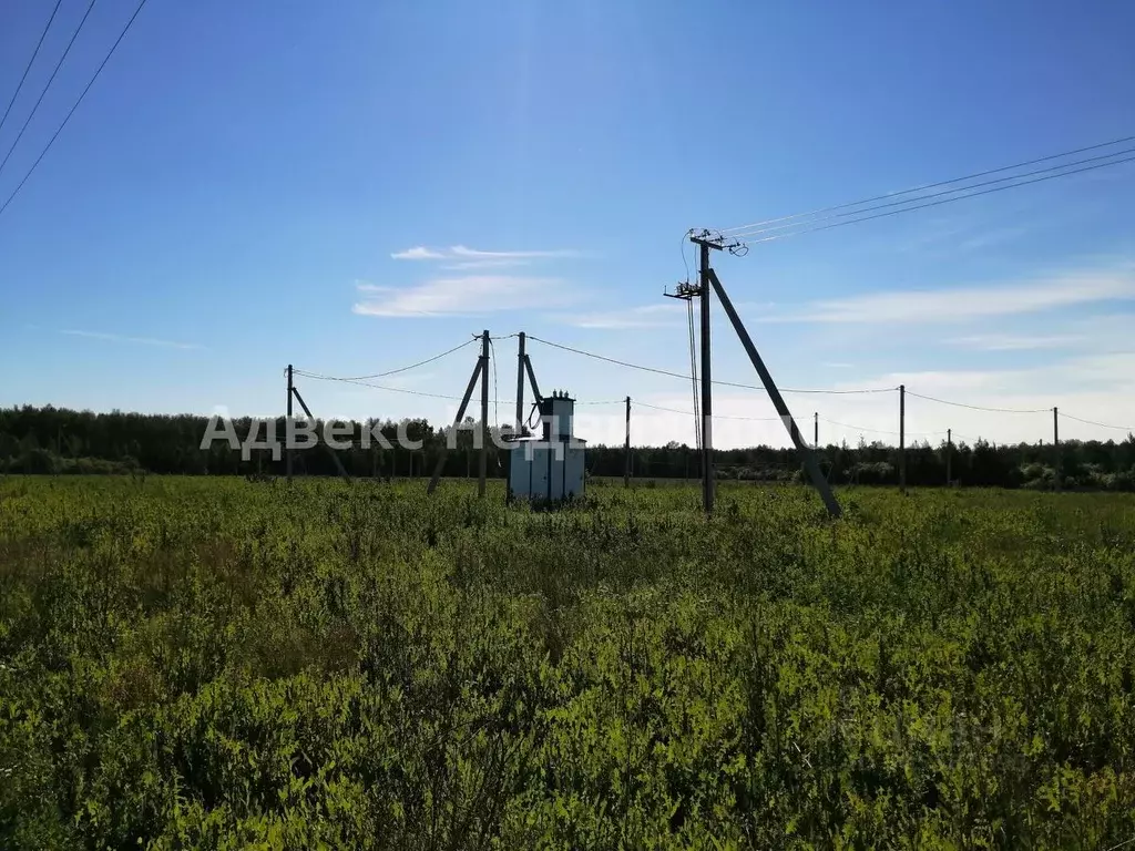 Участок в Тюменская область, Тюменский район, с. Червишево  (8.02 ... - Фото 1