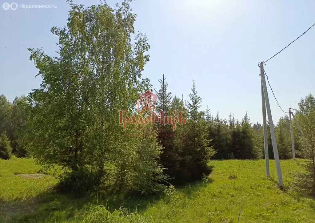 Участок в Сергиево-Посадский городской округ, ТСН садоводческих ... - Фото 2