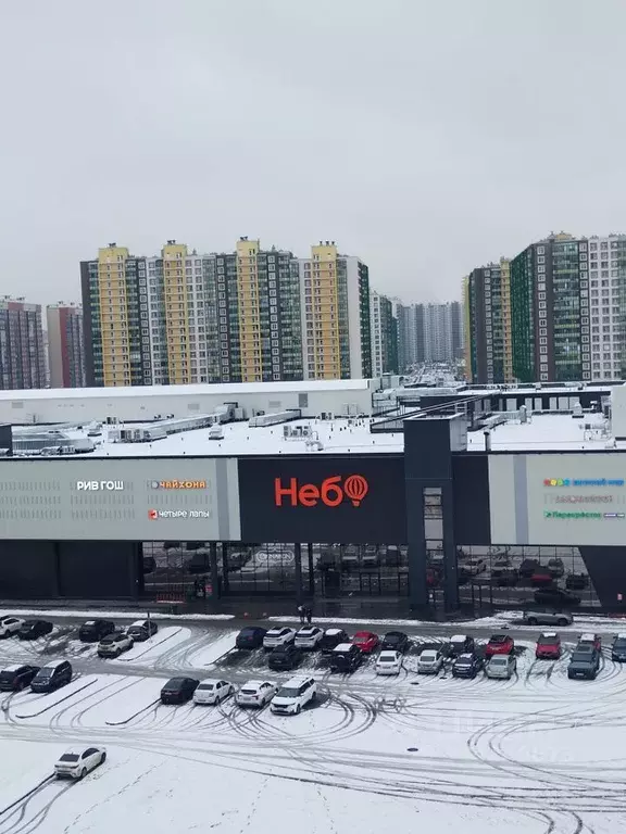 1-к кв. Ленинградская область, Мурино Всеволожский район, ул. ... - Фото 1