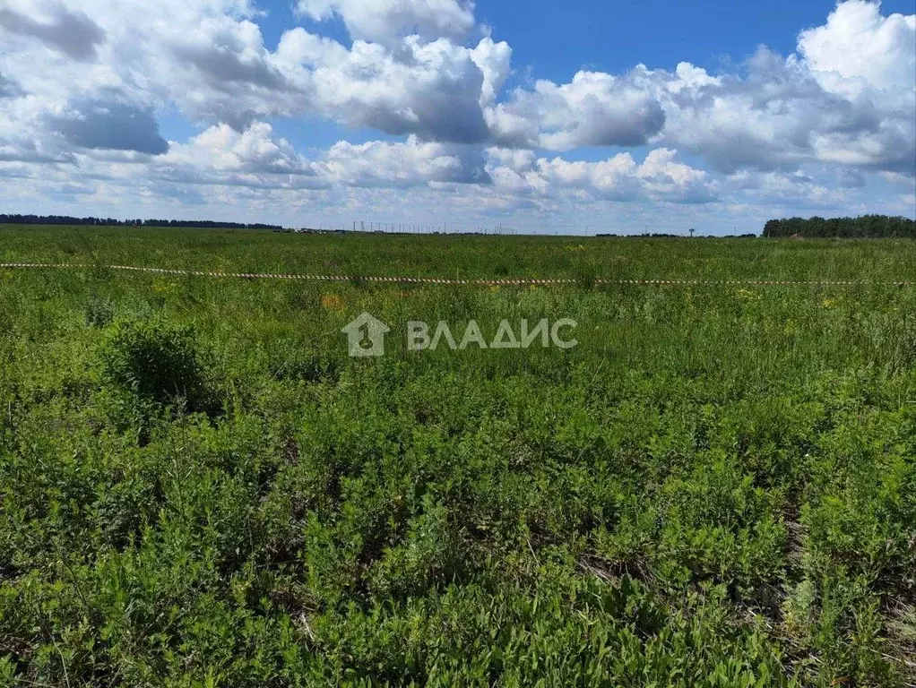 Участок в Тамбовская область, Тамбовский муниципальный округ, пос. ... - Фото 1