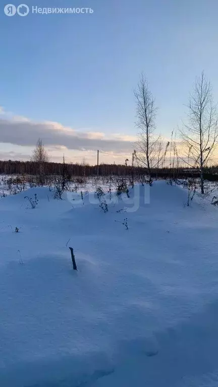 Участок в Челябинская область, Аргаяшский муниципальный округ, ДНТ ... - Фото 2