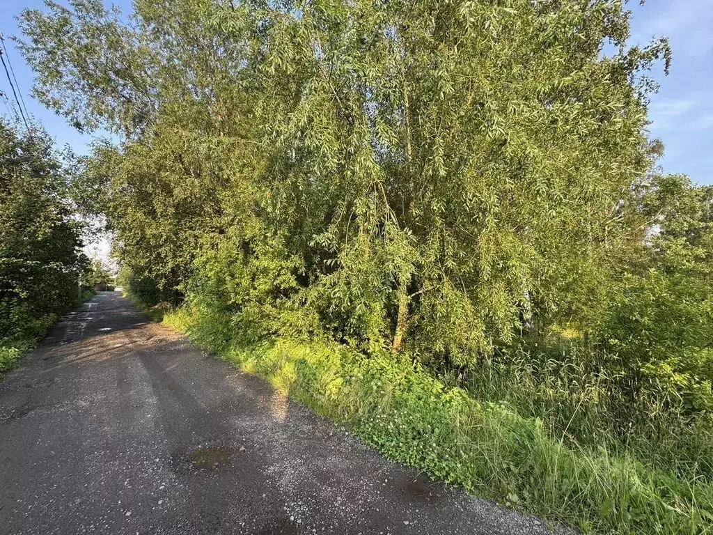 Участок в Санкт-Петербург Победа СНТ, 107 (6.0 сот.) - Фото 2