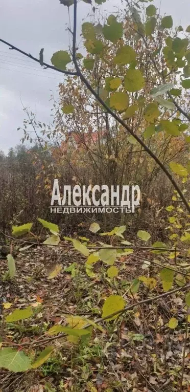 Участок в Ленинградская область, Лужский район, пос. Оредеж ул. ... - Фото 1