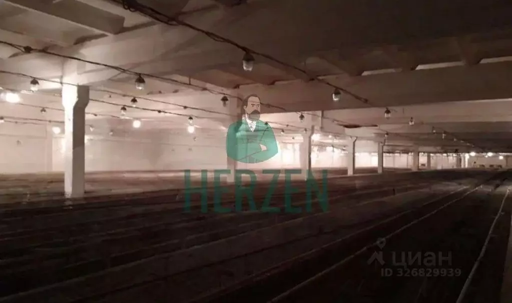 Производственное помещение в Московская область, Клин городской округ, ... - Фото 2