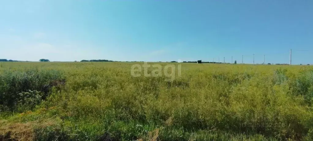 Участок в Воронежская область, Семилукский район, с. Девица ул. ... - Фото 1