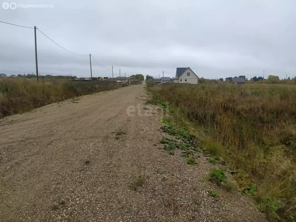 Участок в Вологодская область, Шекснинский муниципальный округ, ... - Фото 2