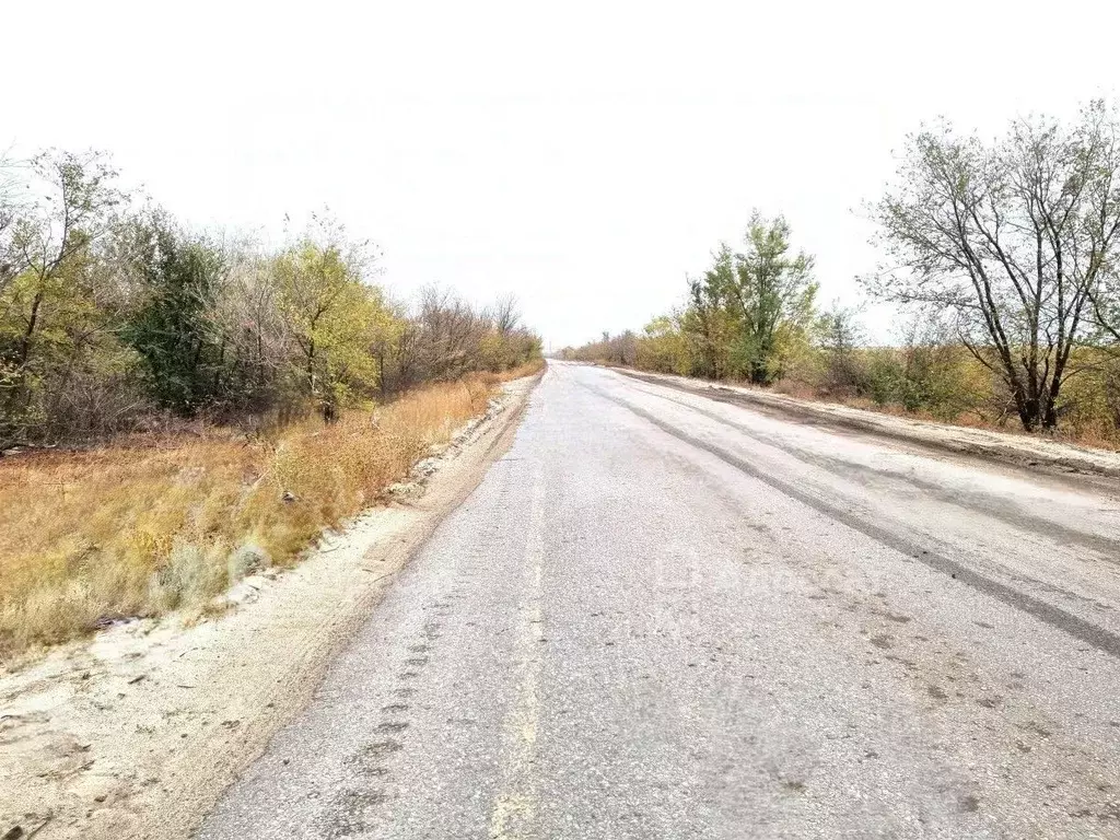 Участок в Волгоградская область, Городищенский район, Орловское с/пос, ... - Фото 2