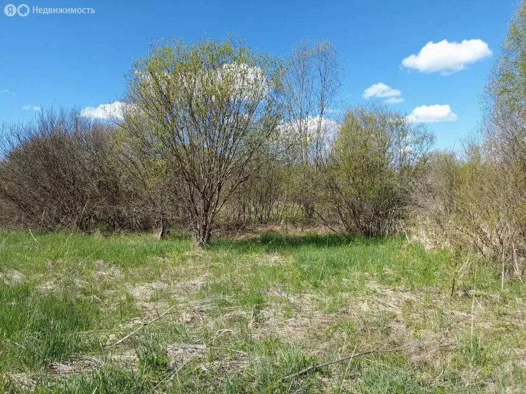 Участок в Вологодская область, Череповецкий муниципальный округ, ... - Фото 2