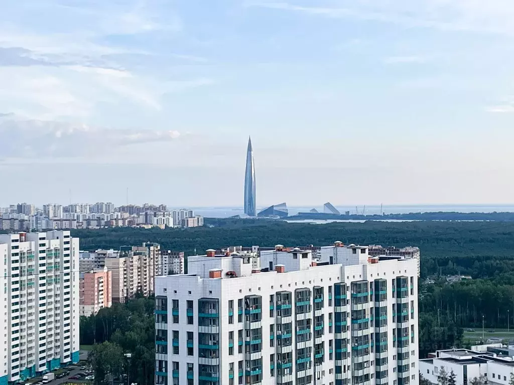 Студия Санкт-Петербург ул. Плесецкая, 16 (30.0 м) - Фото 1