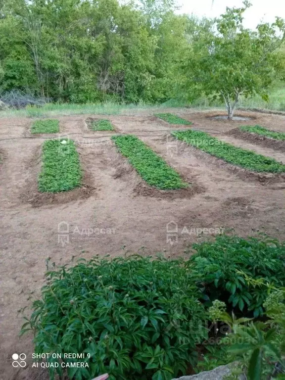 Дом в Волгоградская область, Светлоярский район, Червленовское с/пос, ... - Фото 1