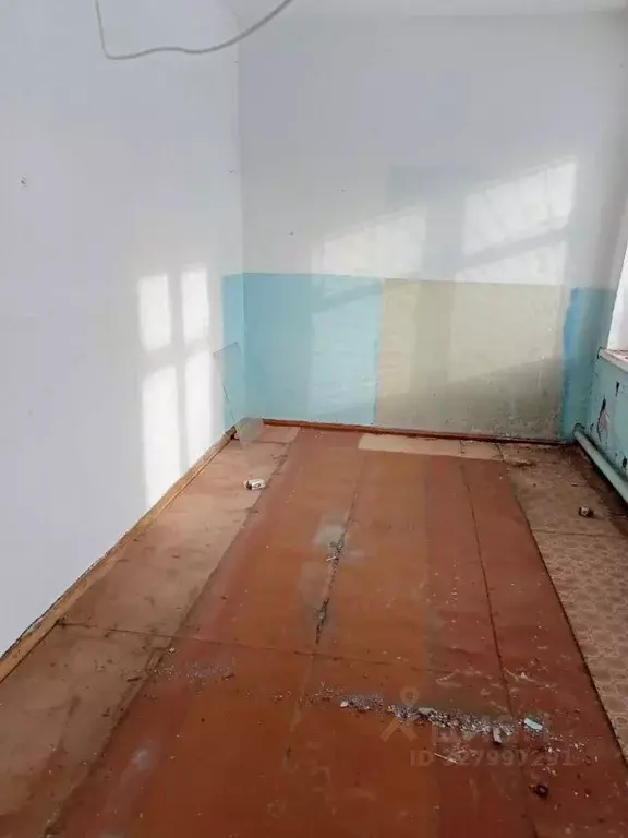 Помещение свободного назначения в Алтайский край, Зональный район, с. ... - Фото 2